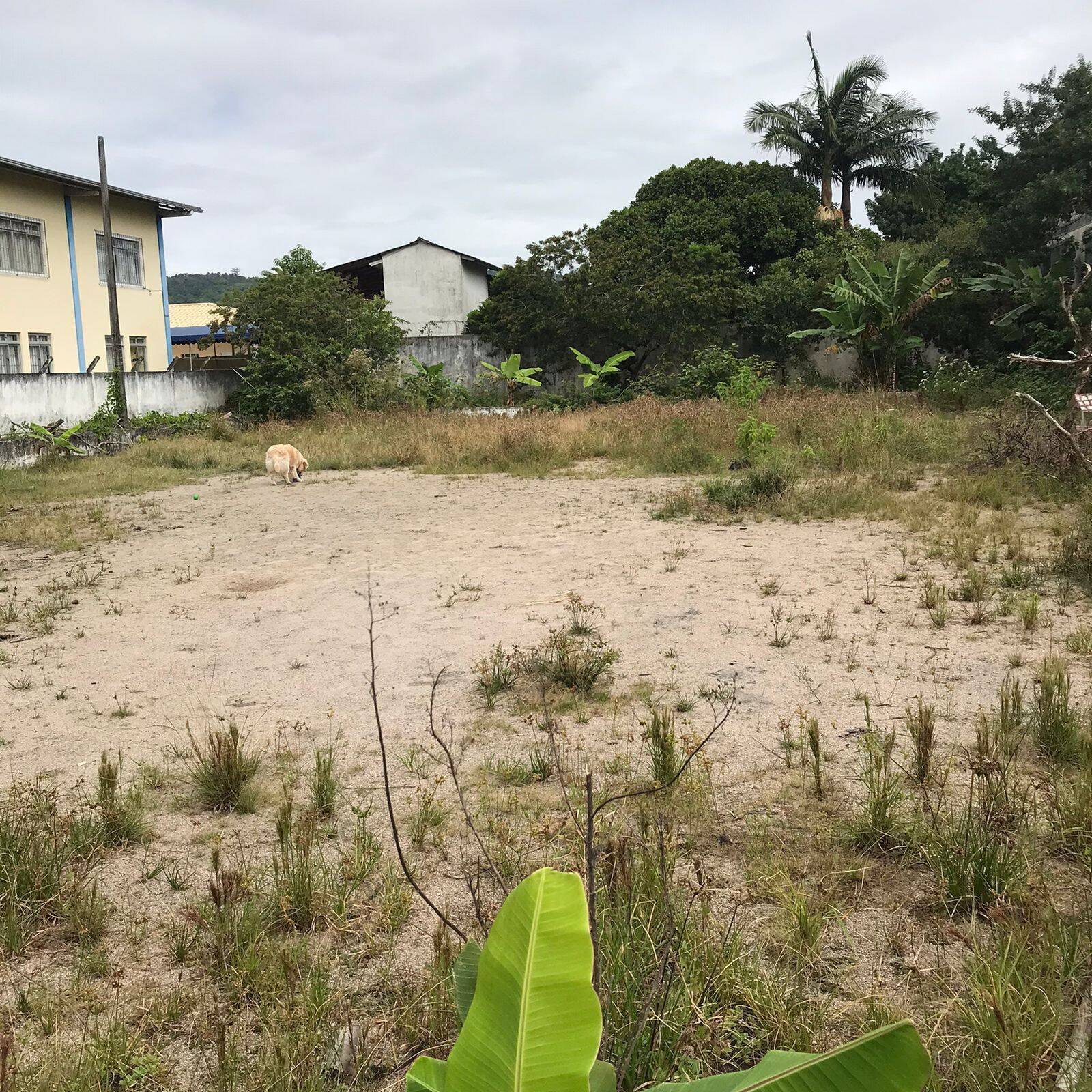 #1268 - Terreno para Venda em São José - SC