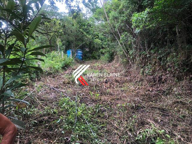 Área para Venda em Palhoça - 5
